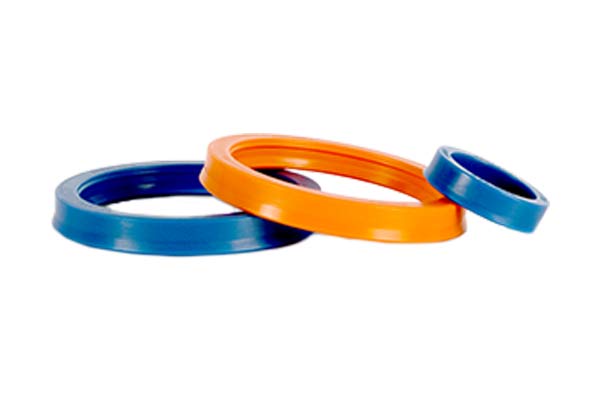 Seals02